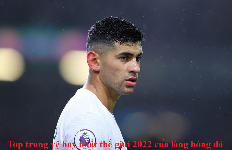 top-trung-ve-hay-nhat-the-gioi-2022-cua-lang-bong-da